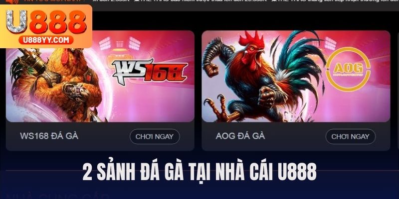 Nhà cái sở hữu 2 sảnh đá gà là AOG và WS168