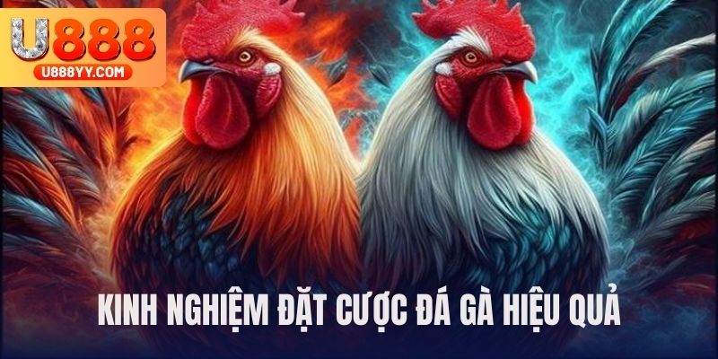 Cách chọn đúng cửa cược dễ thắng