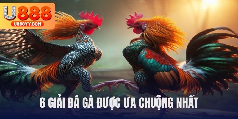 6 loại hình hay được tổ chức nhất