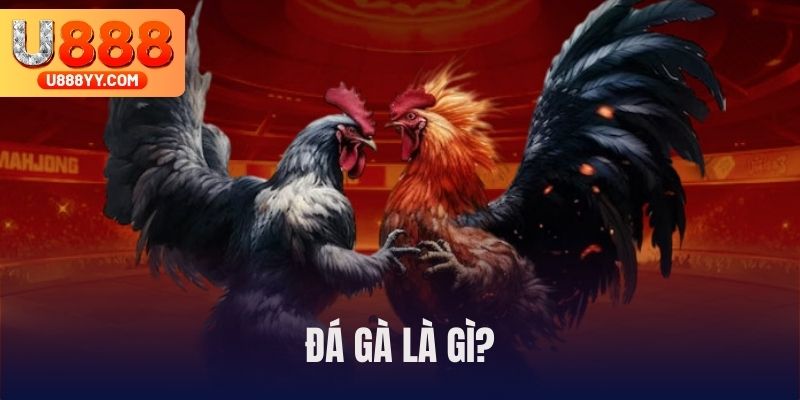 Sơ lược về đá gà