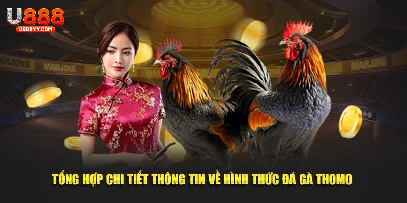 Đôi nét về hình thức đá gà tại Thomo của U888