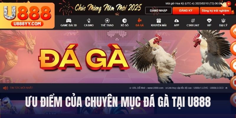 5 ưu điểm khi chọn đá gà U888