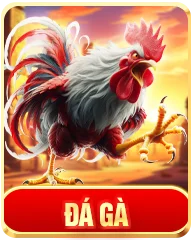 đá gà u888