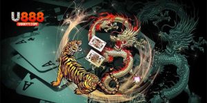 rồng hổ u888